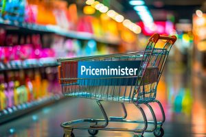 Priceminister : la plateforme incontournable pour faire des bonnes affaires en ligne ?